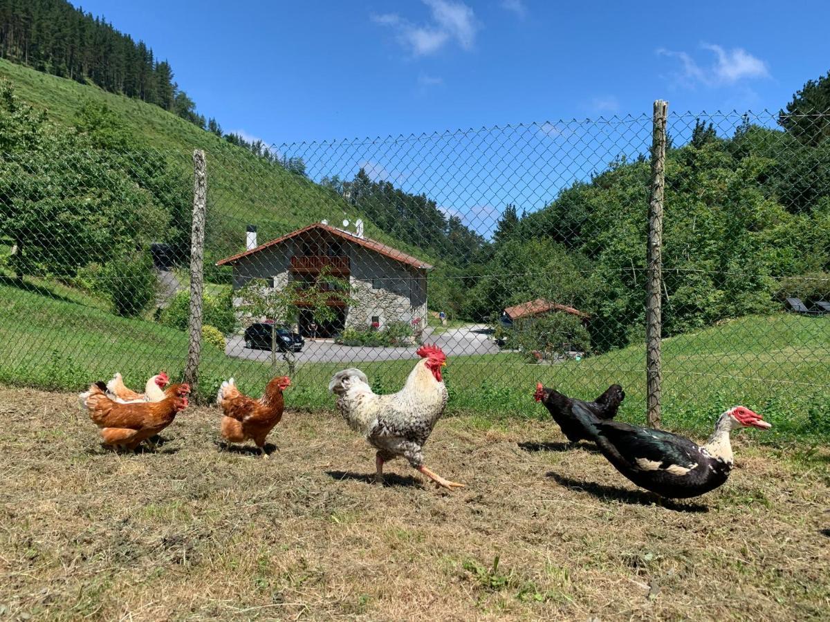Agroturismo Urresti Gautegiz Arteaga Zewnętrze zdjęcie