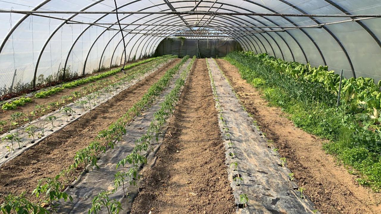 Agroturismo Urresti Gautegiz Arteaga Zewnętrze zdjęcie