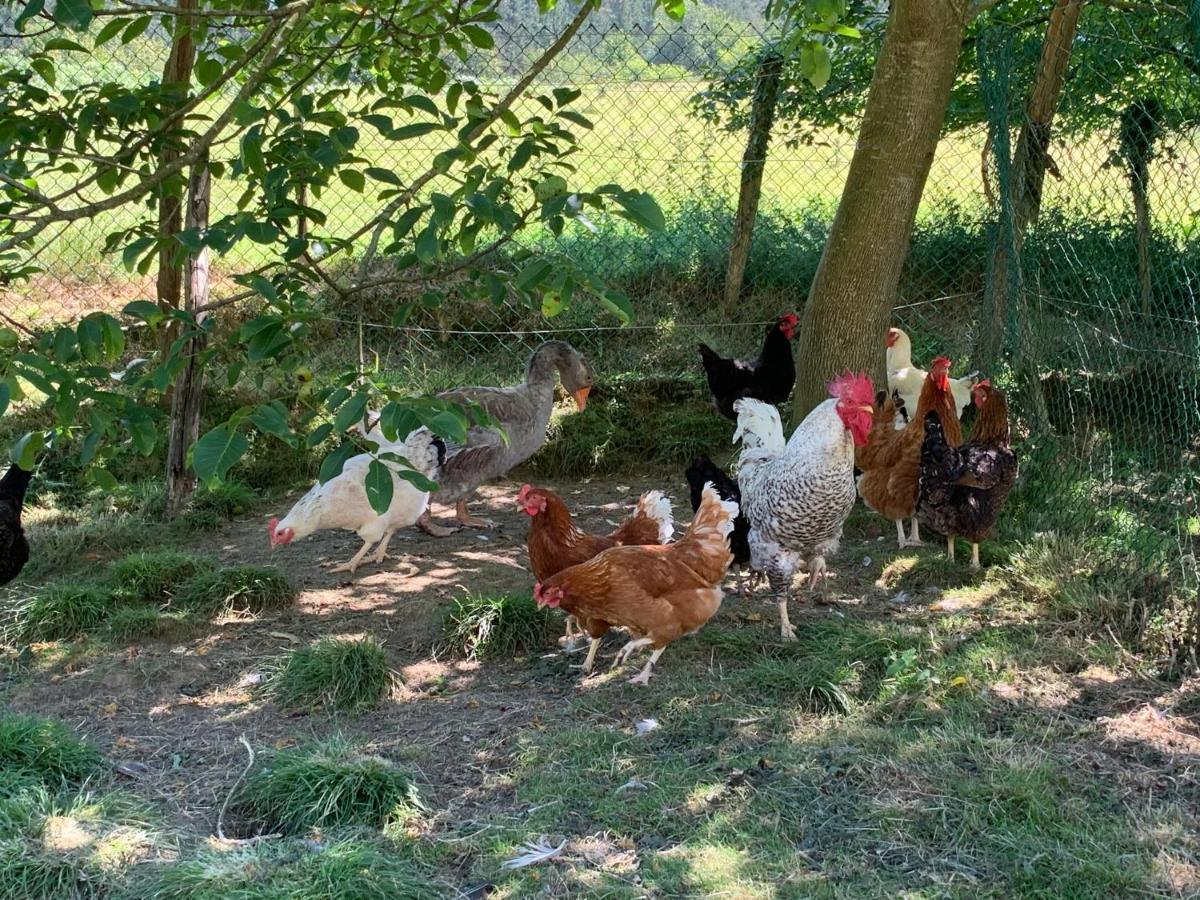 Agroturismo Urresti Gautegiz Arteaga Zewnętrze zdjęcie